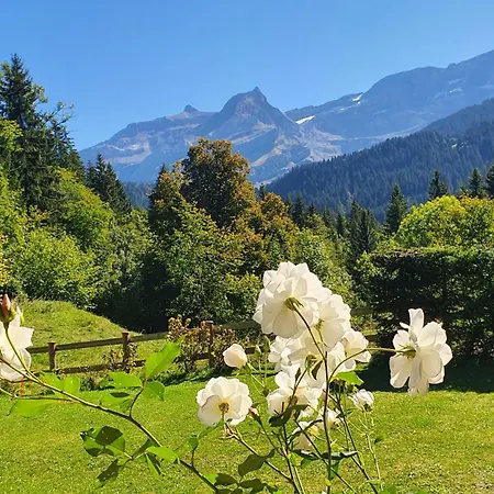 Chalet La Croisee-lavanche * Les Diablerets